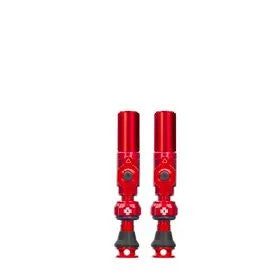 725469_t